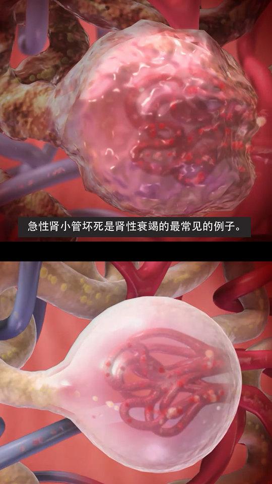 3d生理和病理学软件下载,3d生理和病理学,医学app,阅读app