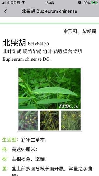 晓草草原植物识别下载,晓草,植物识别app