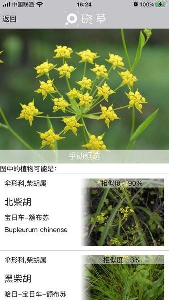 晓草草原植物识别下载,晓草,植物识别app