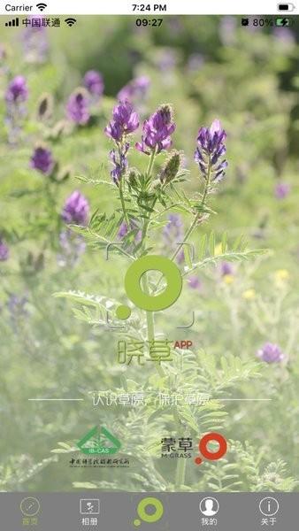 晓草草原植物识别下载,晓草,植物识别app